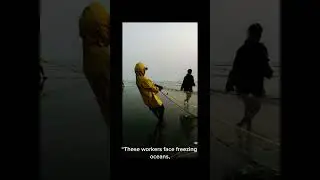 most dangerous jobs in the world.