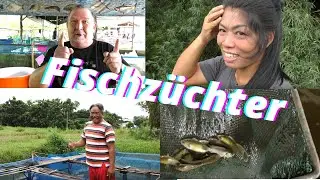 Thailand Ausgewandert. Bekomme ich hier meine Pla Tabtim (ปลาทับทิม). Der rote Tilapia?