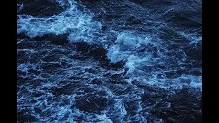 [FREE] DJ Smokey x Freddie Dredd type beat 