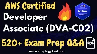 AWS Certified Developer - Associate (DVA-C02) Practice Q&A