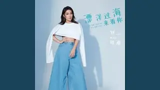 漂洋过海来看你 (DJ Candy版)