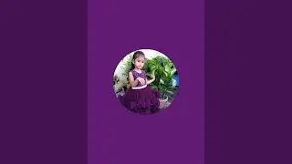 hlw dosto kese hai ap log
