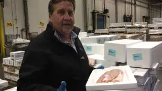 Fresh Catch For The Week  - Swordfish & Walleye