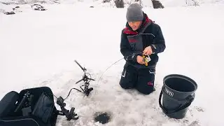 Fast Action Walleye and Perch (First Ice)