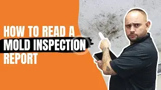 How To Read A Mold Inspection Report