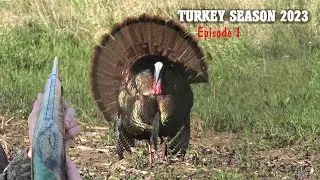 KANSAS PUBLIC LAND GOBBLER DOWN!!! - Gobble Frenzy! - Spring Turkey Hunting 2023