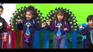 Naira Preschool annaul function