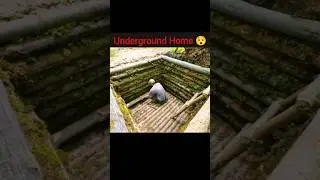 Underground Home 😯🏡 #home #shelter #forestshelter #shorts #viral #trending #fyp #hype