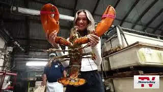 Kayaking adventure on Long Island: Paddle to a lobster lunch