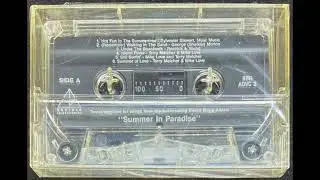 The Beach Boys - Still Surfin' (Tentative Alternate Mix)