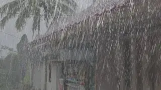 Super heavy rain that is so soothing to the soul, fall asleep in a matter of minutes, ASMR