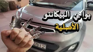 تغير بواجي 