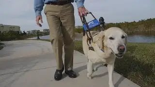 The Making of a Superhero (Southeastern Guide Dogs)