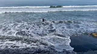 Torrey Pines