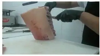 TOMAHAWK SUÍNO