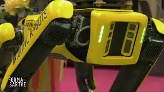 Formasarthe 2024 : En direct du salon avec Flavien Rousseau et Julien Juliff !