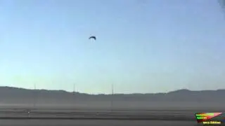 RPV:  Bird Flapping