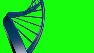 DNA strip structure molecule test model - 4K 60fps green screen animated element #05