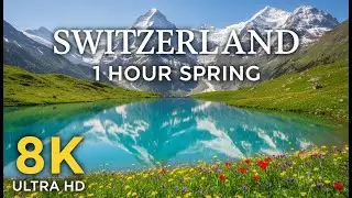 Switzerland Spring 8K   1 Hour Wildflowers & Waterfalls  Alpine Awakening Drone Views