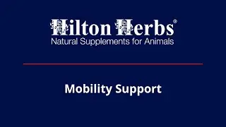 Hilton Herbs US | Mobility Support