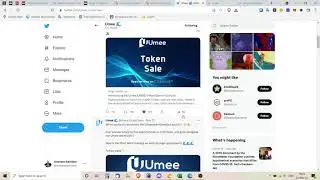 Обзор проект Umee
