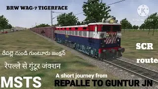 WAG-7 TIGERFACE WITH BCNA WAGONS  A SHORT JOURNEY #mstsindianrailways #train #indianrailways #