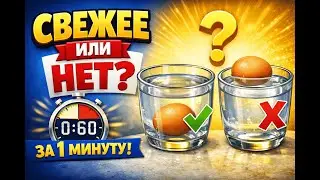 Is the egg fresh? Check in 1 minute.