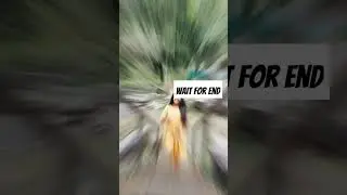 work from home 🤑🤑🤑 #shortvideo #trendingshorts #viralvideo