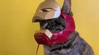 IRONMAN CAT helmet