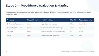 Guide Pratique Audit SYSCOHADA R&eacute;vis&eacute; 2025 11 22