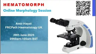 Online Morphology Sunday Session for Lab Staff and Clinical Pathologist-BL, LBL, TPLL, Eosinophilia