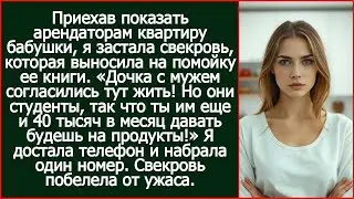 Приехав показать арендаторам квартиру бабушки, я застала там свекровь.
