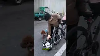 Макс хочет сесть на переднее сиденье!🥰🤫!!#шорты #кормлюшортами