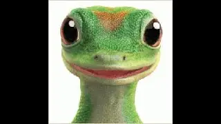 geico portal
