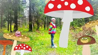 We go into the woods for a walk. Putting natural material for handicrafts.