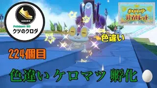 【ポケモンSV】Shiny Froakie GET✨ Froakie &rarr; Frogadier &rarr; Greninja Evolve 🔥