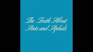 Kevin Hume - The Truth About Ants and Aphids - Full Album (2007)