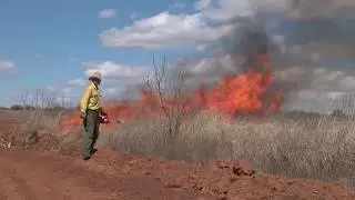 Types of Fire Behavior