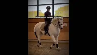 love @BeyondthrBridle !! so inspiring