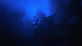 Manta Rays off the coast of Hawaii 