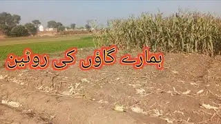 Hamare gaon ki routine Kiran family vlog 