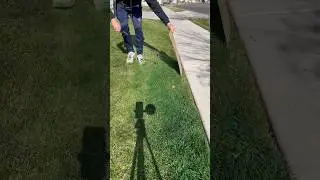 Would you ever paint your lawn? #lawn #lawncare #petratools #lawnpaint #greenthumb #diy #asmr #green