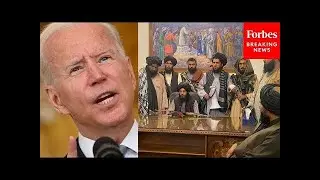 US-Taliban Talks To Resume In Qatar Next Week: Biden Administration