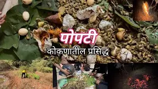 कोकणातील पोपटी पूर्ण माहिती नक्की बघा😇😋 #पोपटी #कोकण #kokani #season #trending #video #viral 
