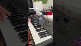 Roland Fantom-06, journey Separate Ways #rolandfantom #synth @rolandglobal #rolandfantom06