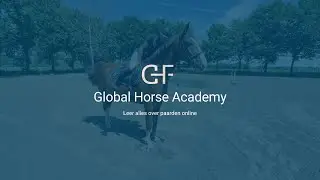 Leren afstappen van een paard | Veilig en stap voor stap uitgelegd &ndash; Paardrijden voor beginners