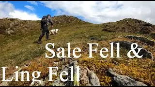 Sale Fell & Ling Fell - Wainwright Bagging