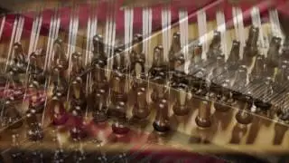 Steinway M Grand Piano - Golden Era