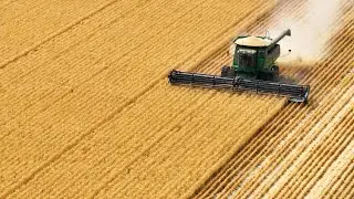 Midwest Testimonial Andrew Mifsud Mungbeans Sorghum Chickpeas Wheat Harvest