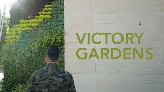 Bringing Back Victory Gardens